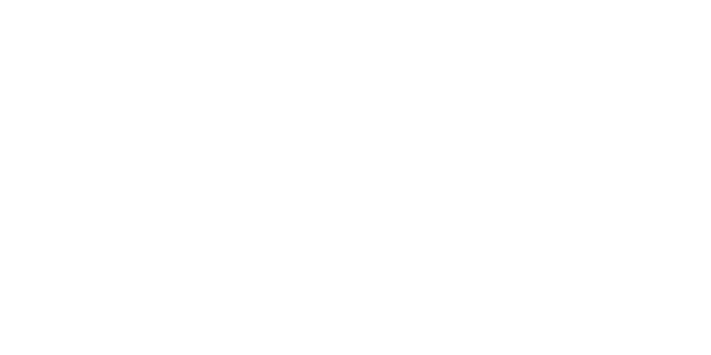 九识
